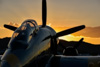 CurtisFowles-Reno2016-68892t.jpg