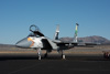 CurtisFowles-Reno2016-69096t.jpg