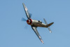 CurtisFowles-Reno2016-164006t.jpg