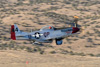CurtisFowles-Reno2016-164045t.jpg
