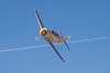 CurtisFowles-Reno2016-165369t.jpg