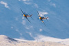 CurtisFowles-Reno2016-166201t.jpg