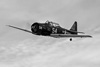 CurtisFowles-Reno2017-06-9039t.jpg