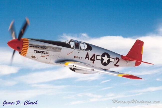 P-51 Survivor 42-103645 N61429