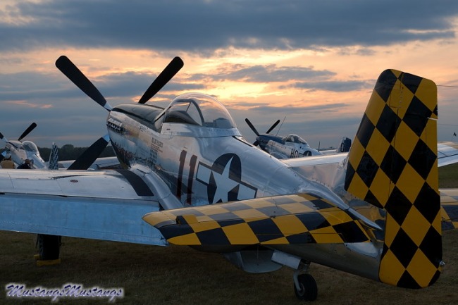 P-51 Survivor 44-74446 N1451D