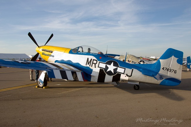 P-51 Survivor 44-74976 N651JM
