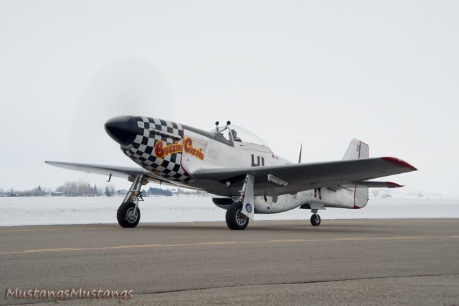 P-51 Survivor 44-84753 N251BP