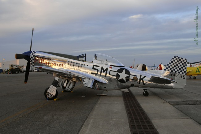 P-51 Survivor 44-84786 N51BS