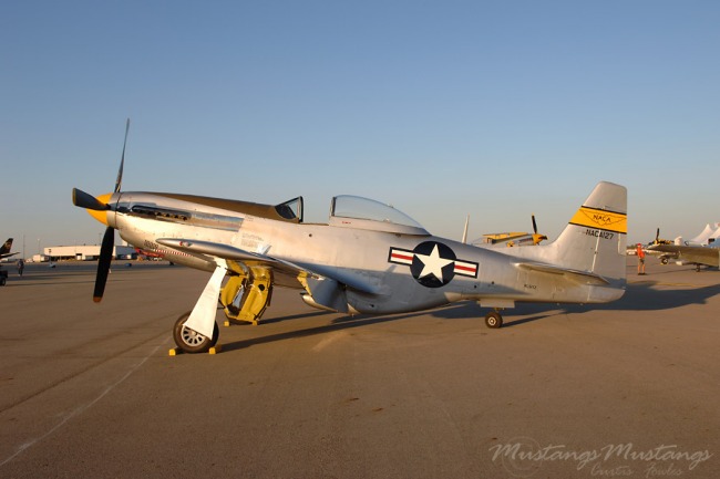 P-51 Survivor 44-84900 N51YZ