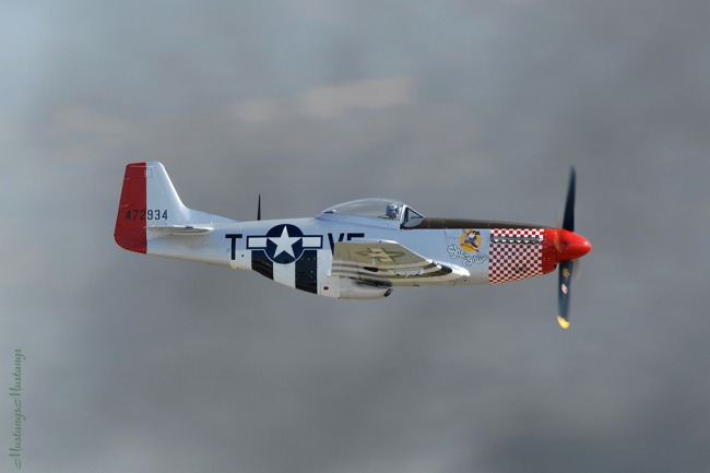 P-51 Survivor 45-11553 G-FSID