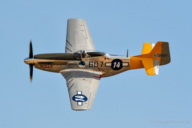 P-51 Survivor 45-11582 N5441V