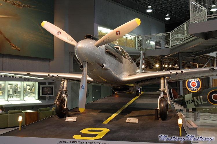 41-038_00006_cf1.jpg