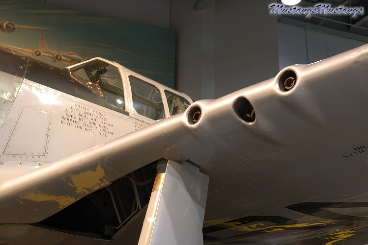 41-038_00010_cf1.jpg