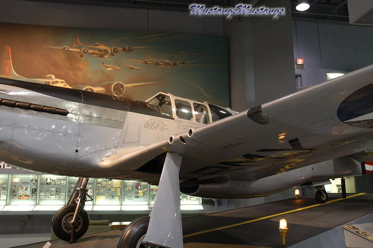 41-038_00011_cf1.jpg