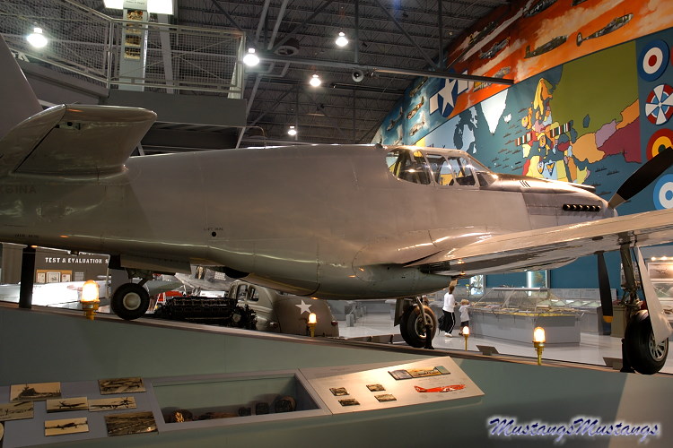 41-038_00035_cf1.jpg