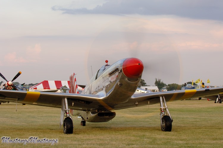 42-103293_00099_cf1.jpg
