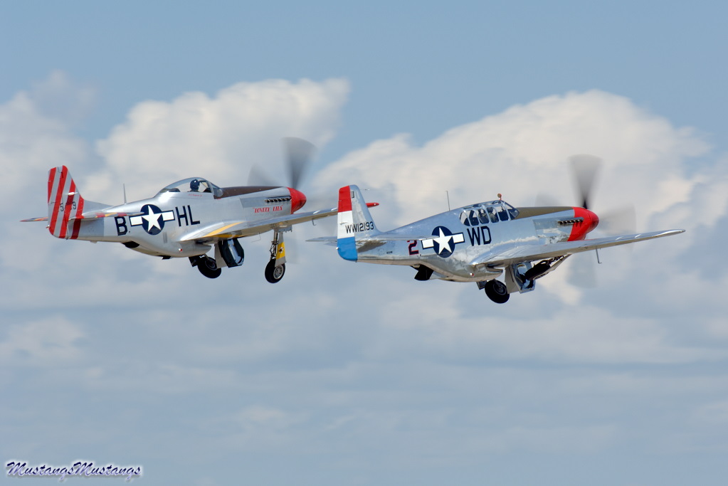 42-103293_00108_cf1.jpg