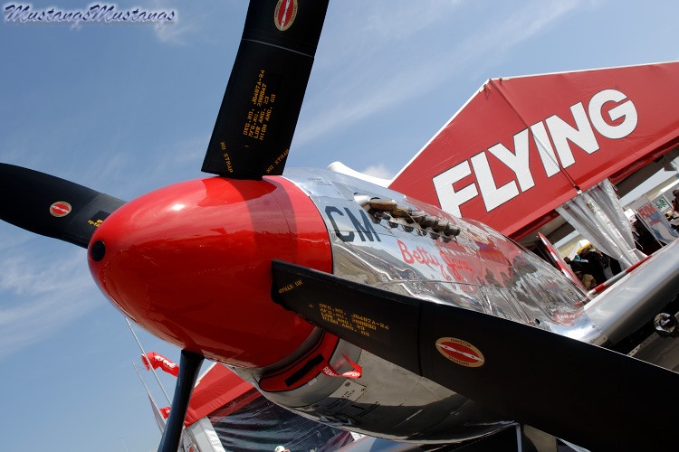 42-103293_06328_cf1.jpg