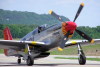 P-51