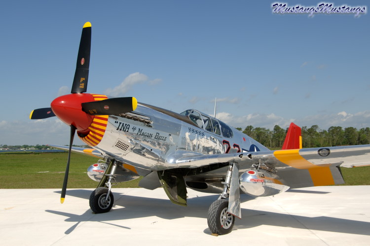 42-103831_06404_cf1.jpg