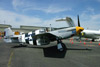 P-51