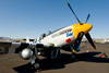 P-51