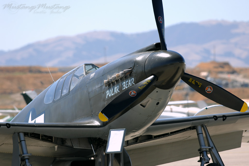 43-6006_00390_cf1.jpg