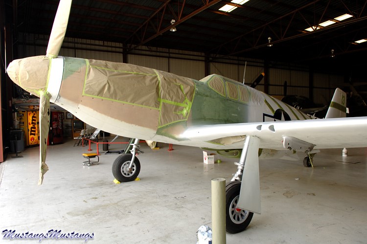 43-6251_00409_cf1.jpg