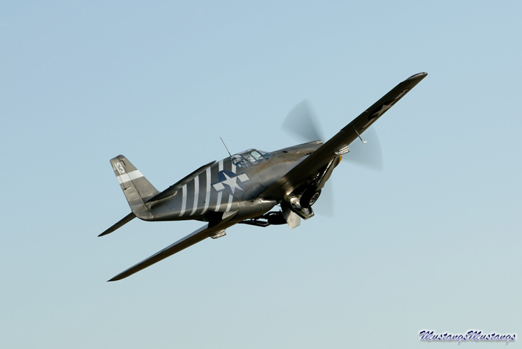 43-6251_00416_cf1.jpg