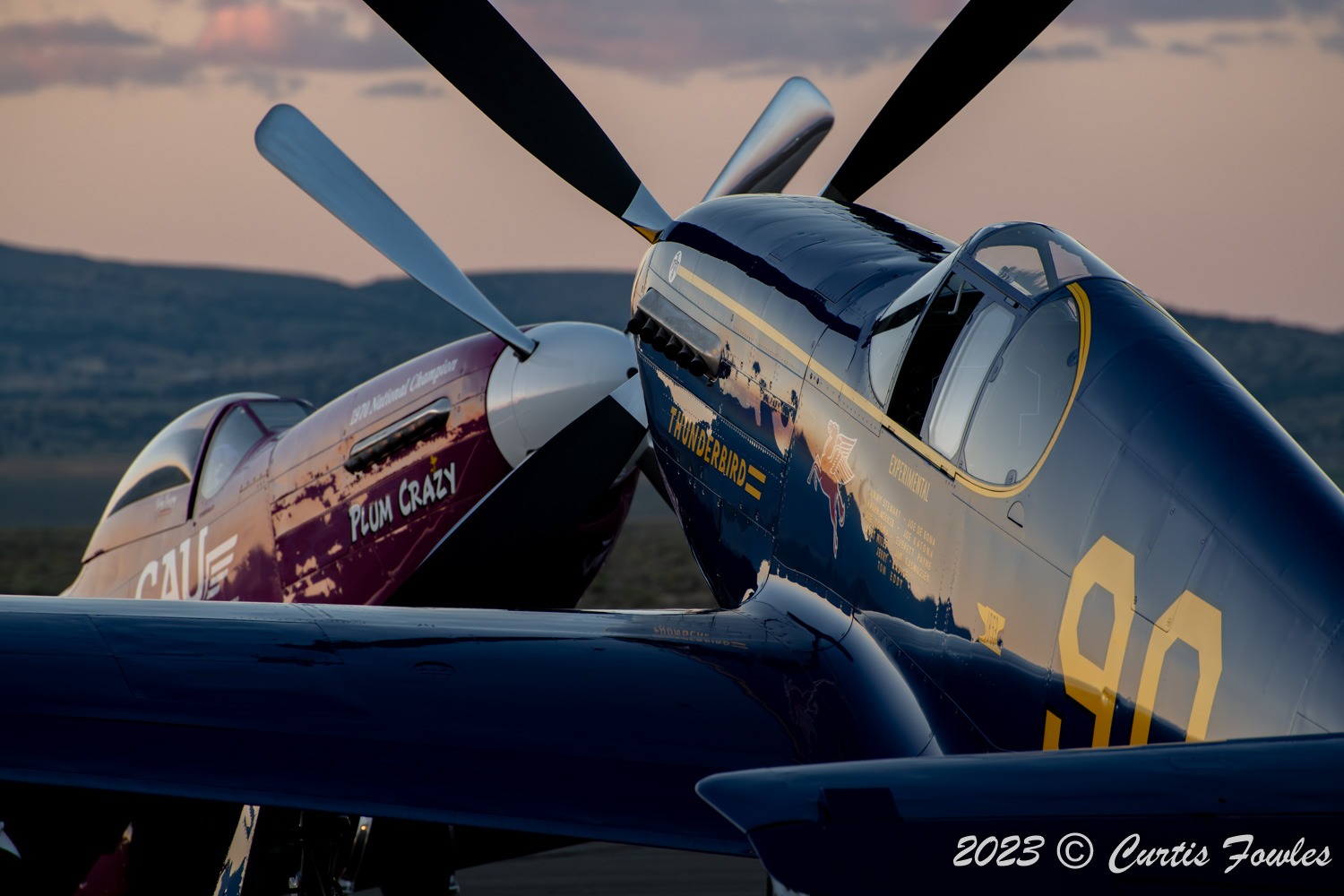 43-6859_9825_cf1.jpg