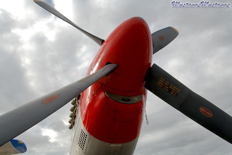 44-12119_00480_cf1.jpg
