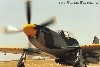 P-51