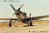 P-51