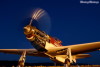 P-51
