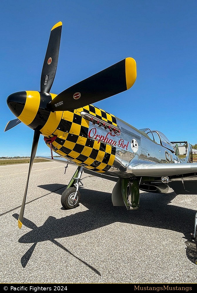 44-63350_10438_pf5.jpg