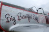 P-51