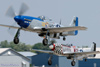 P-51