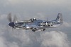 P-51