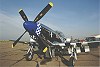 P-51