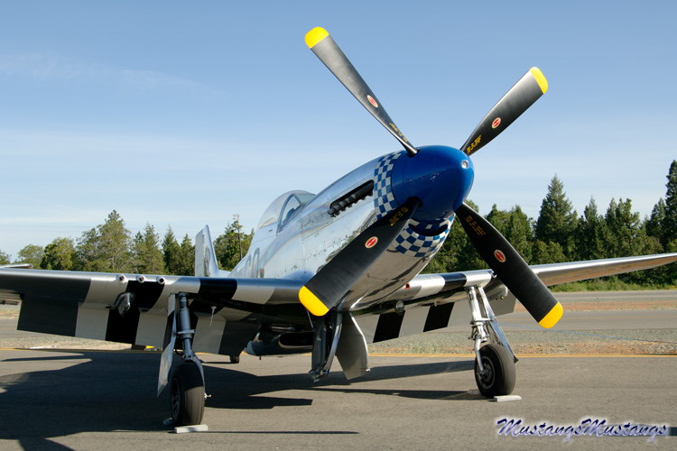 44-63701_00917_cf1.jpg
