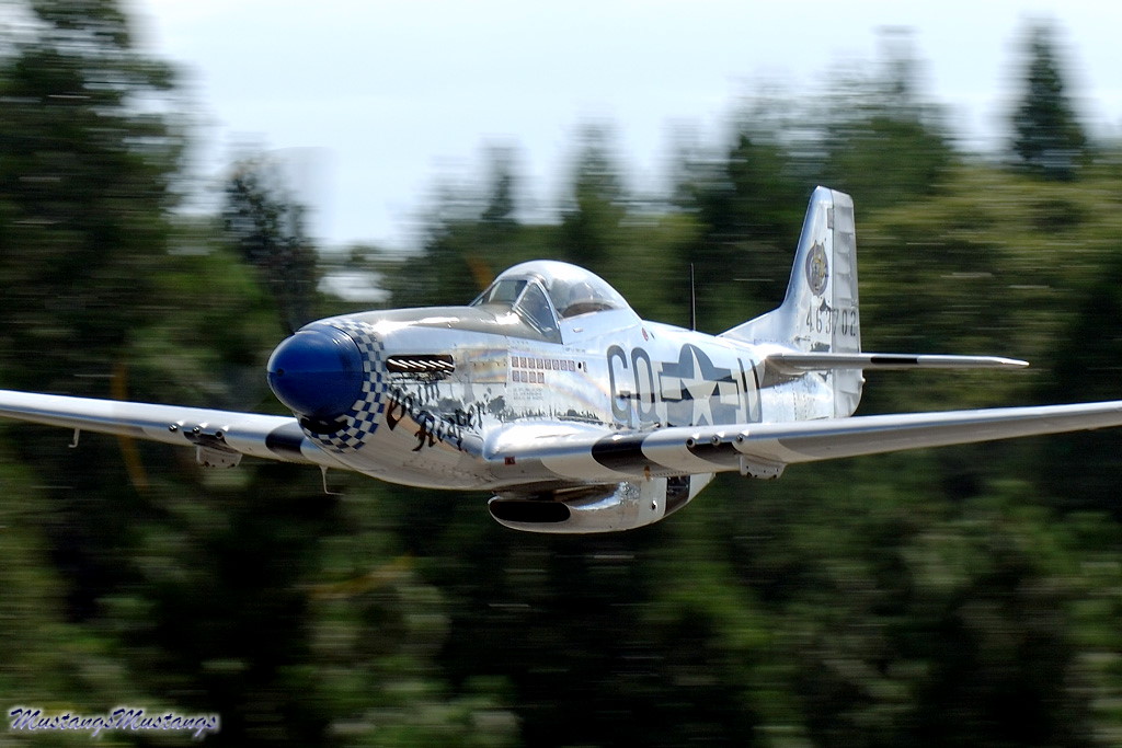 44-63701_00920_cf1.jpg