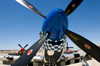 P-51