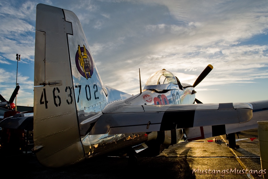 44-63701_7952_cf1.jpg