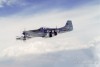 P-51