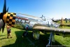 P-51