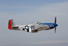 P-51