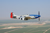 P-51