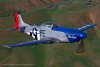 P-51