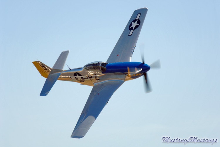 44-72438_01506_cf1.jpg
