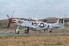P-51